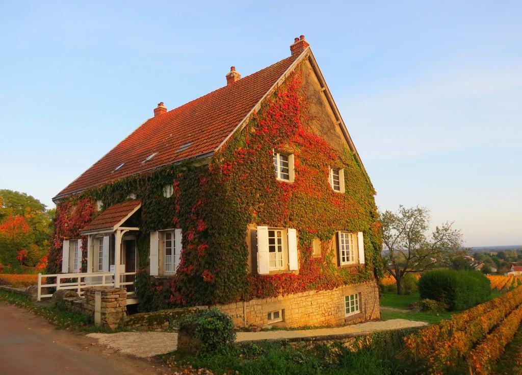 La Passerelle Des Corton B&B Aloxe-Corton Exteriör bild