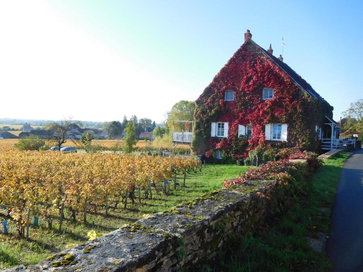 La Passerelle Des Corton B&B Aloxe-Corton Exteriör bild