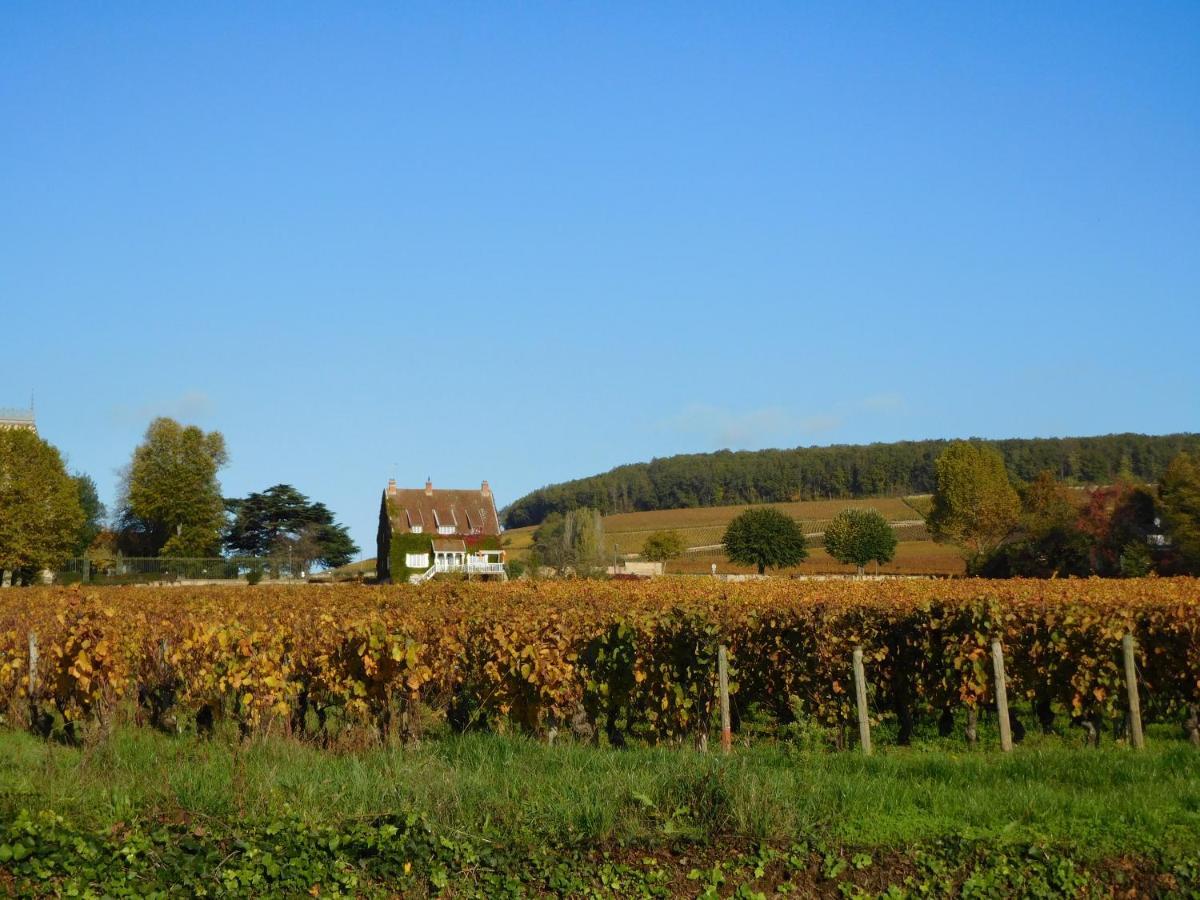La Passerelle Des Corton B&B Aloxe-Corton Exteriör bild